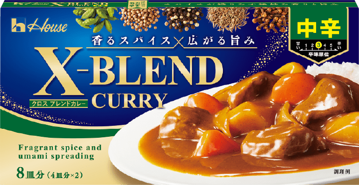 X-BLEND CURRY（クロスブレンドカレー） 中辛